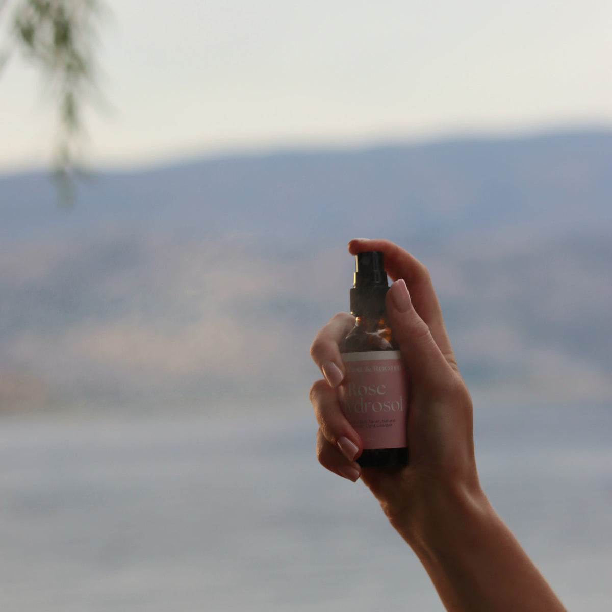 Rose Hydrosol